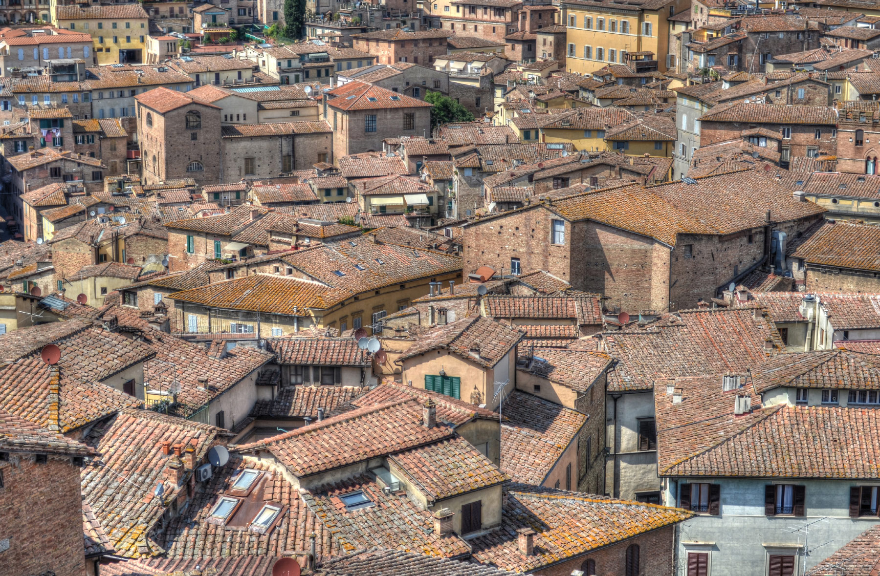 Siena